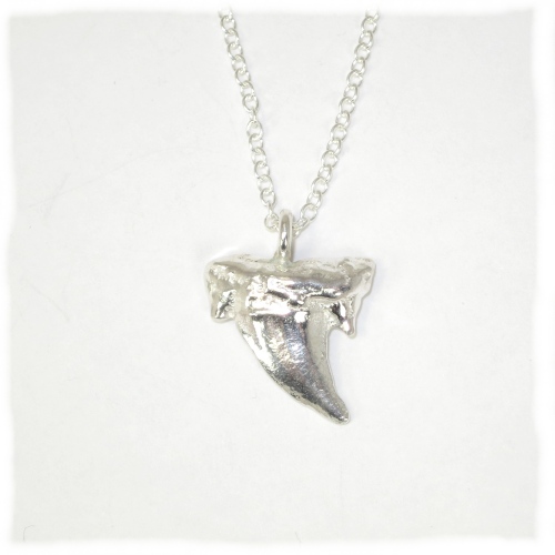 SIlver sharks tooth